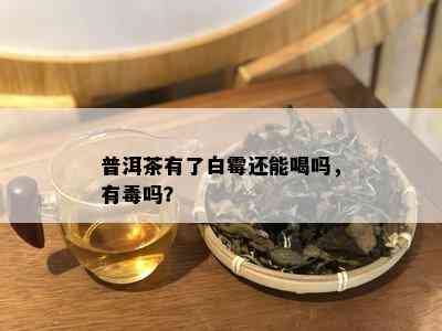 普洱茶有了白霉还能喝吗，有吗？