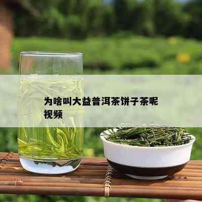 为啥叫大益普洱茶饼子茶呢视频