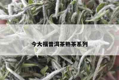 今大福普洱茶熟茶系列