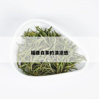 福鼎白茶的清凉感