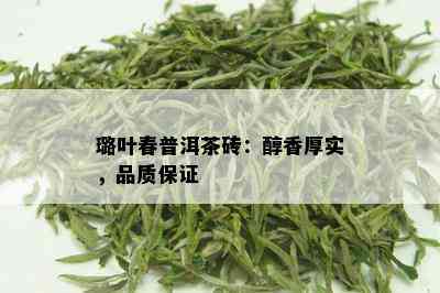 璐叶春普洱茶砖：醇香厚实，品质保证