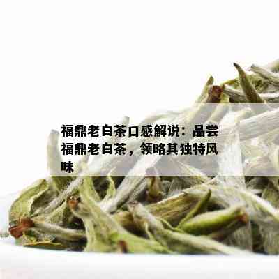 福鼎老白茶口感解说：品尝福鼎老白茶，领略其独特风味