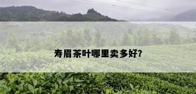 寿眉茶叶哪里卖多好？