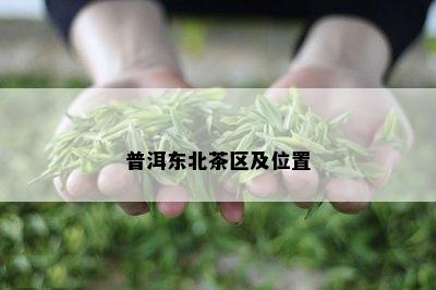 普洱东北茶区及位置