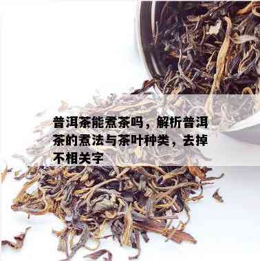 普洱茶能煮茶吗，解析普洱茶的煮法与茶叶种类，去掉不相关字