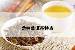 龙柱普洱茶特点