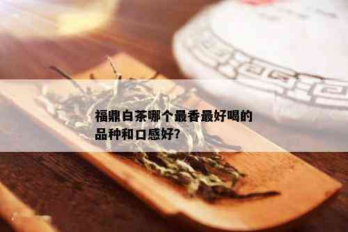 福鼎白茶哪个最香更好喝的品种和口感好？