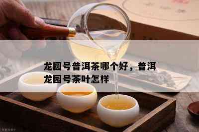 龙圆号普洱茶哪个好，普洱龙园号茶叶怎样