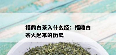 福鼎白茶入什么经：福鼎白茶火起来的历史