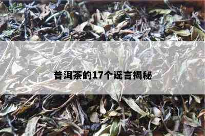 普洱茶的17个谣言揭秘