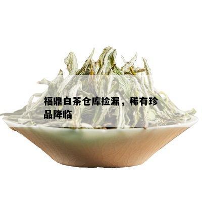 福鼎白茶仓库捡漏，稀有珍品降临