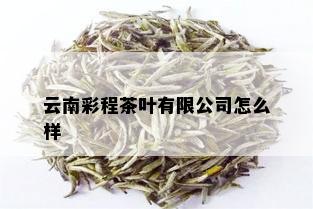 云南彩程茶叶有限公司怎么样