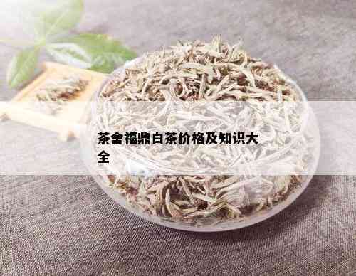 茶舍福鼎白茶价格及知识大全