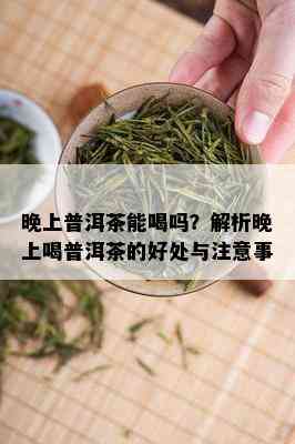 晚上普洱茶能喝吗？解析晚上喝普洱茶的好处与注意事