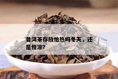 普洱茶存放怕热吗冬天，还是怕凉？