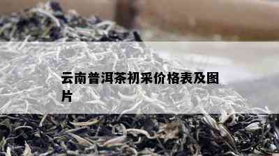 云南普洱茶初采价格表及图片