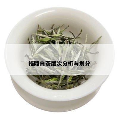 福鼎白茶层次分析与划分