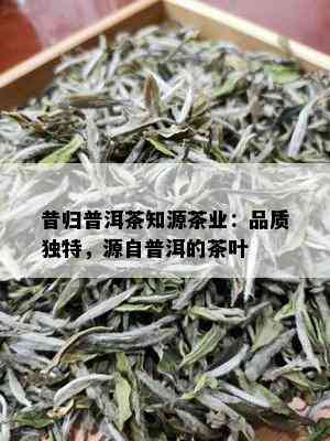 昔归普洱茶知源茶业：品质独特，源自普洱的茶叶