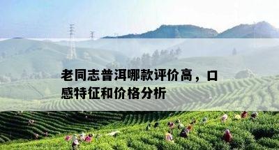 老同志普洱哪款评价高，口感特征和价格分析