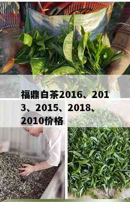 福鼎白茶2016、2013、2015、2018、2010价格