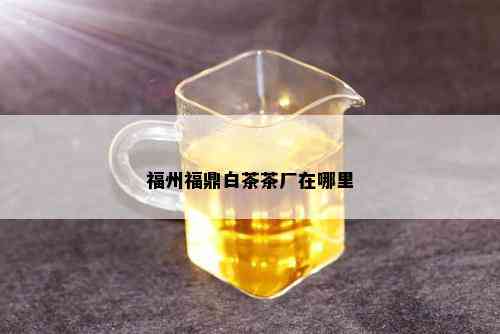 福州福鼎白茶茶厂在哪里