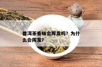 普洱茶香味会挥发吗？为什么会挥发？