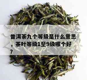 普洱茶九个等级是什么意思，茶叶等级1至9级哪个好？