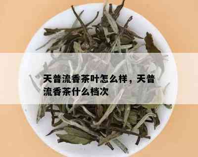 天普流香茶叶怎么样，天普流香茶什么档次