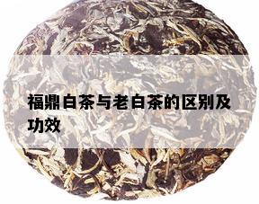 福鼎白茶与老白茶的区别及功效