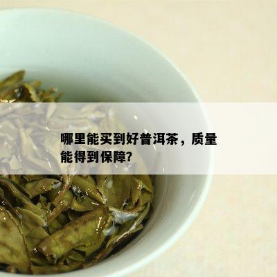 哪里能买到好普洱茶，质量能得到保障？