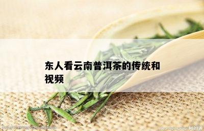 东人看云南普洱茶的传统和视频