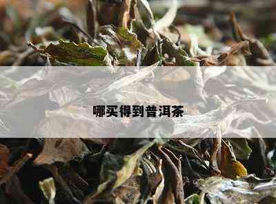 哪买得到普洱茶