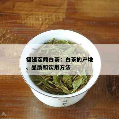 福建茗鼎白茶：白茶的产地、品质和饮用方法