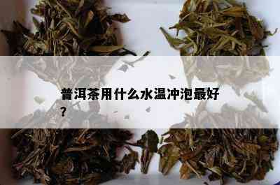 普洱茶用什么水温冲泡更好？