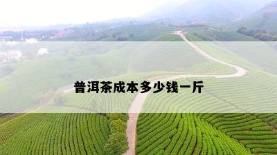 普洱茶成本多少钱一斤