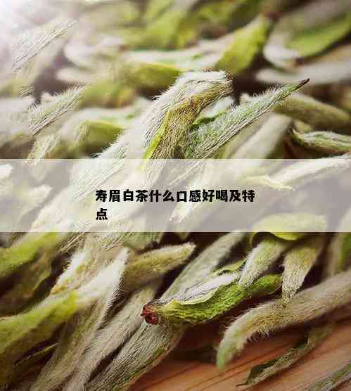 寿眉白茶什么口感好喝及特点