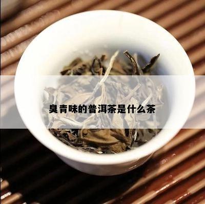 臭青味的普洱茶是什么茶