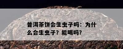 普洱茶饼会生虫子吗：为什么会生虫子？能喝吗？