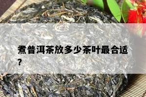 煮普洱茶放多少茶叶最合适？