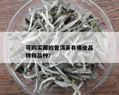 可购买藏的普洱茶有哪些品牌和品种？