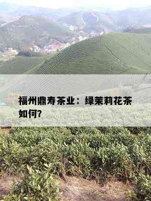 福州鼎寿茶业：绿茉莉花茶如何？