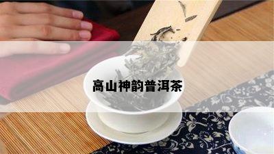 高山神韵普洱茶