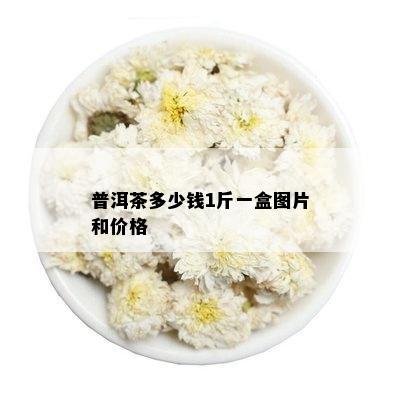 普洱茶多少钱1斤一盒图片和价格