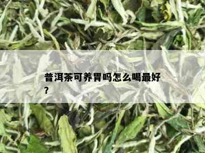 普洱茶可养胃吗怎么喝更好？