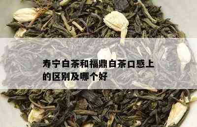 寿宁白茶和福鼎白茶口感上的区别及哪个好