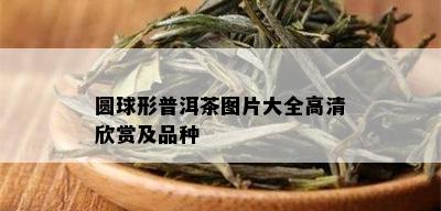 圆球形普洱茶图片大全高清欣赏及品种