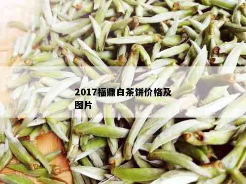 2017福鼎白茶饼价格及图片