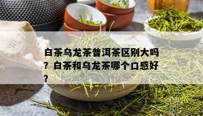 白茶乌龙茶普洱茶区别大吗？白茶和乌龙茶哪个口感好？