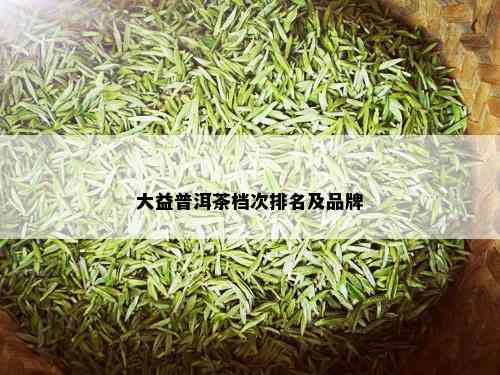 大益普洱茶档次排名及品牌