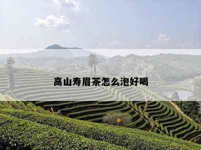 高山寿眉茶怎么泡好喝